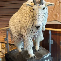 Squamish Lil'wat Cultural Centre - Squamish