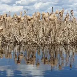 Big Lake Natural Area - St. Albert
