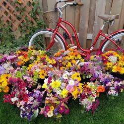 St. Albert Farmers' Market - St. Albert