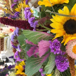 St. Albert Farmers' Market - St. Albert