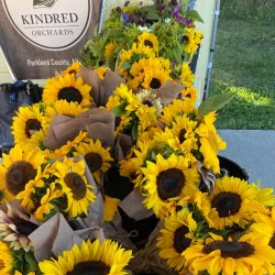 St. Albert Farmers' Market - St. Albert