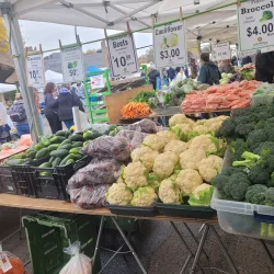 St. Albert Farmers' Market - St. Albert