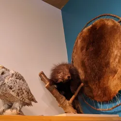 St. Albert Historical Society Museum - St. Albert