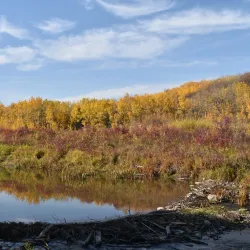 Sturgeon River - St. Albert