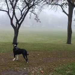 Heritage Park - St. Paul