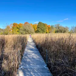 Parc Régional de la Rivière-du-Nord - St-Sauveur des Monts