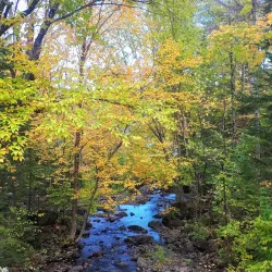 Village Saint-Sauveur - St-Sauveur des Monts