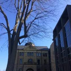 Elgin County Courthouse - St. Thomas