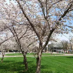 Brock University - St.Catharines