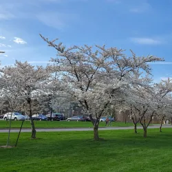 Brock University - St.Catharines
