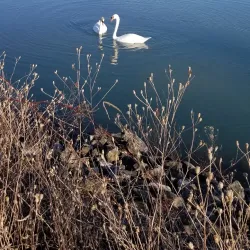 Port Dalhousie - St.Catharines