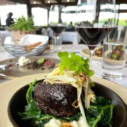 Vineland Estates Winery - St.Catharines