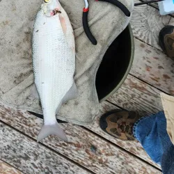 Marina de Ste-Agathe - Ste. Agathe