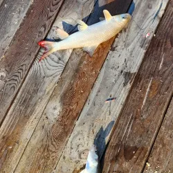 Marina de Ste-Agathe - Ste. Agathe