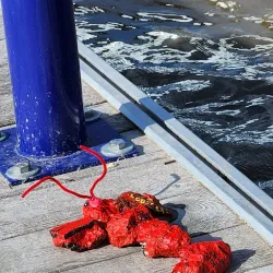 Marina de Ste-Agathe - Ste. Agathe