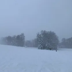 Mont Habitant - Ste. Agathe