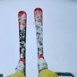 Mont Habitant - Ste. Agathe