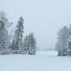 Mont Habitant - Ste. Agathe