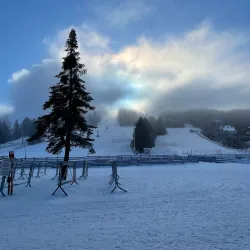 Mont Habitant - Ste. Agathe