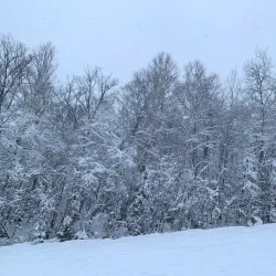 Mont Habitant - Ste. Agathe