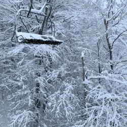 Mont Habitant - Ste. Agathe