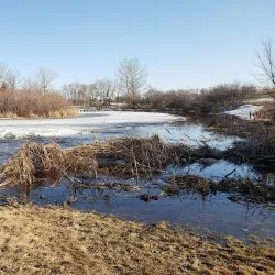 A.D. Penner Park - Steinbach