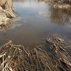 A.D. Penner Park - Steinbach
