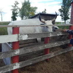Steinbach Fly-In Golf Club - Steinbach