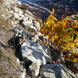 Flat Bay Brook Trail - Stephenville