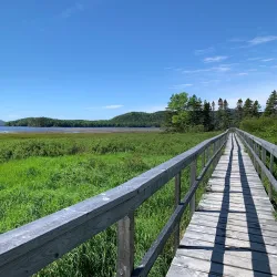 Indian Head Trail - Stephenville