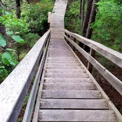 Indian Head Trail - Stephenville