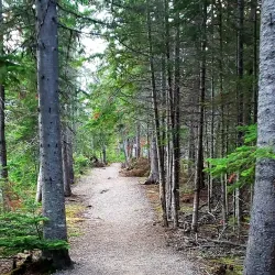 Indian Head Trail - Stephenville