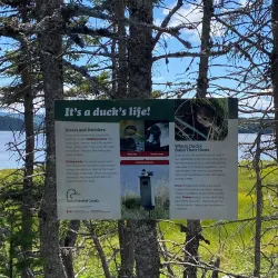 Indian Head Trail - Stephenville