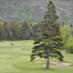 Stephenville Golf Club - Stephenville