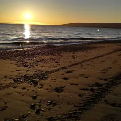 Stephenville Golf Club - Stephenville