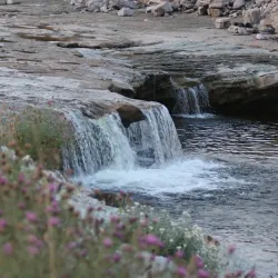Stephenville Town Park - Stephenville