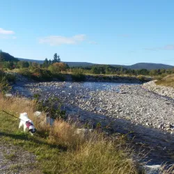 Stephenville Town Park - Stephenville