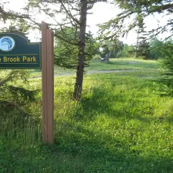 Stephenville Town Park - Stephenville