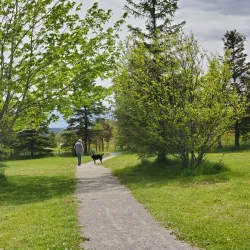 Stephenville Town Park - Stephenville