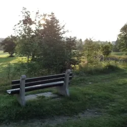 Stephenville Town Park - Stephenville