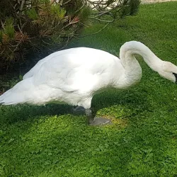 Gallery Stratford - Stratford