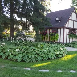 Shakespearean Gardens - Stratford