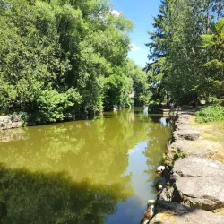 Shakespearean Gardens - Stratford