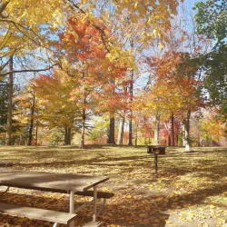 Upper Queen's Park - Stratford