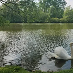 Upper Queen's Park - Stratford