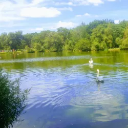 Upper Queen's Park - Stratford