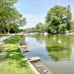 Upper Queen's Park - Stratford