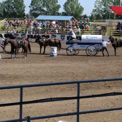 Strathmore & District Agricultural Society Grounds - Strathmore