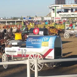 Strathmore Museum - Strathmore