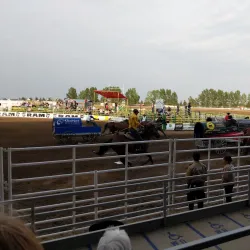 Strathmore Museum - Strathmore